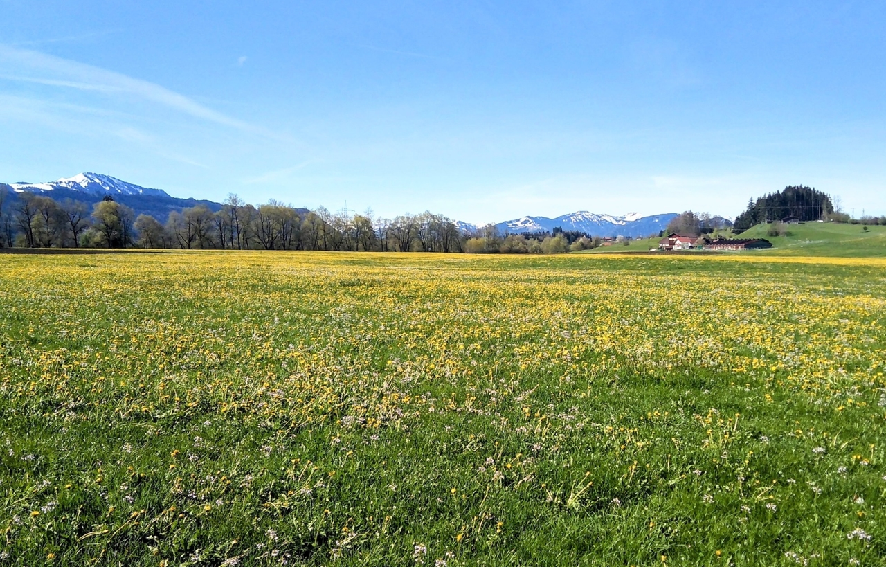 Thal Ranch – Außenansicht